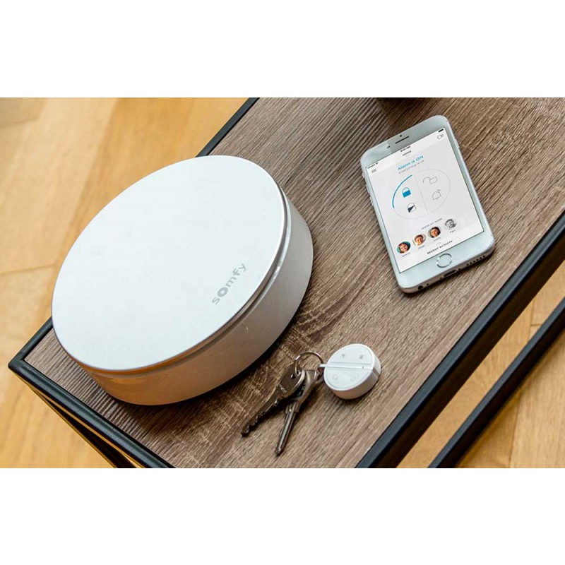 Somfy Home Alarm Protect Sistema de Seguridad Alarma para Hogar