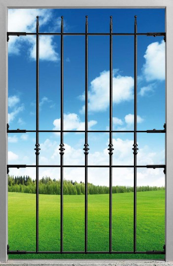 Rejilla ajustable para ventanas con 3 barras transversales Rejilla de  ventana Rejas para Ventanas Exteriores Rejillas para Ventanas para Ventanas  de